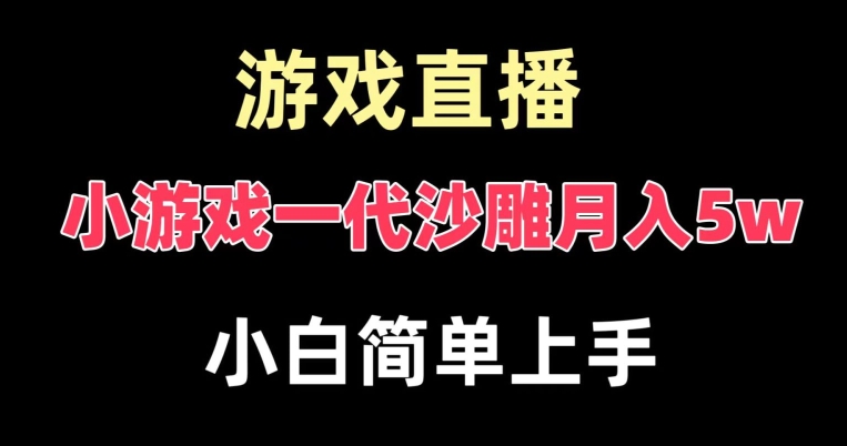 玩小游戏一代沙雕月入5w，爆裂变现，快速拿结果，高级保姆式教学【揭秘】-天娱网创