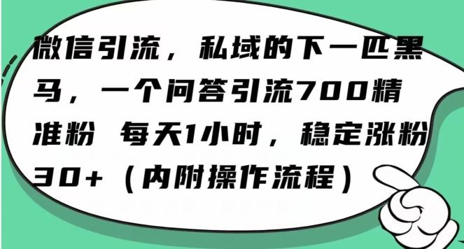 怎么搞精准创业粉？微信新赛道，每天一小时，利用Ai一个问答日引100精准粉-天娱网创