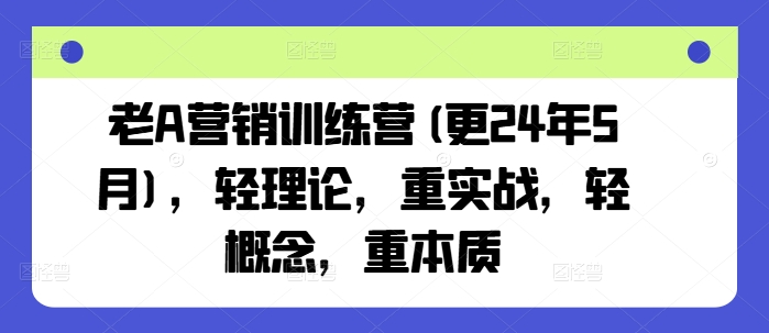 老A营销训练营(更24年8月)，轻理论，重实战，轻概念，重本质-天娱网创