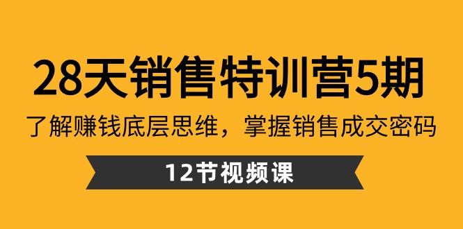 28天销售特训营5期：了解赚钱底层思维，掌握销售成交密码（12节课）-天娱网创