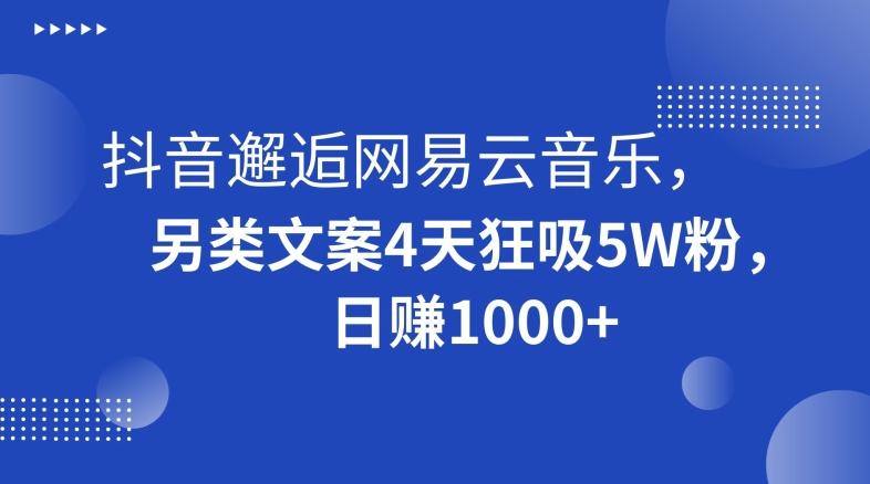 抖音邂逅网易云音乐，另类文案4天狂吸5W粉，日赚1000+【揭秘】-天娱网创