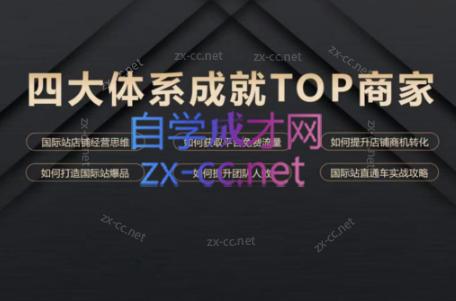 华曜·阿里巴巴国际站认知及直通车实操课程-天娱网创