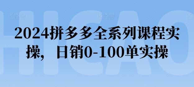2024拼多多全系列课程实操，日销0-100单实操【必看】-天娱网创