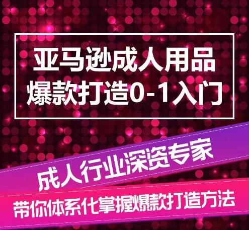 亚马逊成人用品爆款打造0-1入门，系统化讲解亚马逊成人用品爆款打造的流程-天娱网创