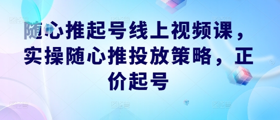 随心推起号线上视频课，实操随心推投放策略，正价起号-天娱网创