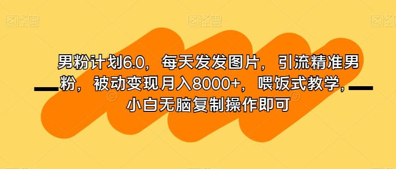 男粉计划6.0，每天发发图片，引流精准男粉，被动变现月入8000+，喂饭式教学，小白无脑复制操作即可-天娱网创