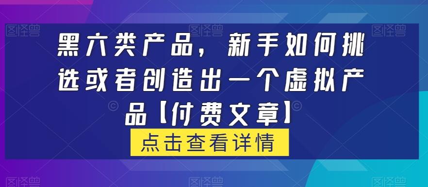黑六类虚拟产品，新手如何挑选或者创造出一个虚拟产品【付费文章】-天娱网创