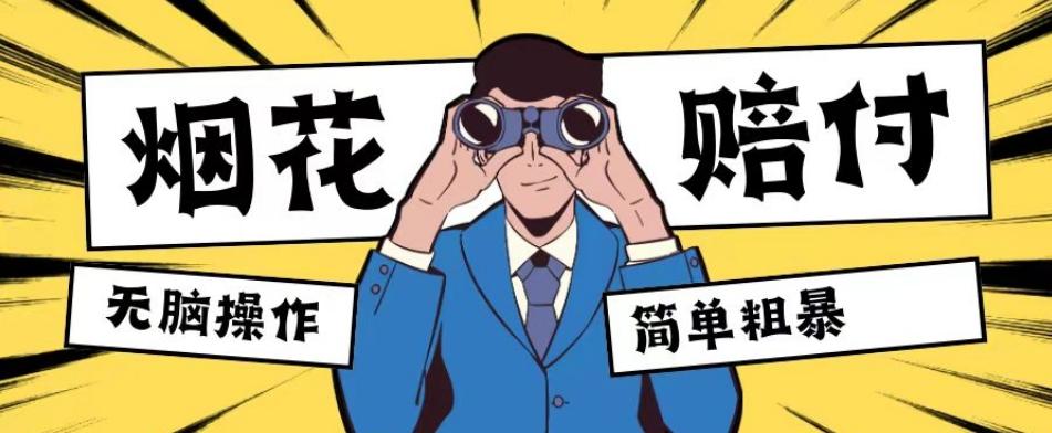 最新蓝海玩法，烟花爆竹赔付，单订单赔付200-500无脑操作【仅揭秘】-天娱网创