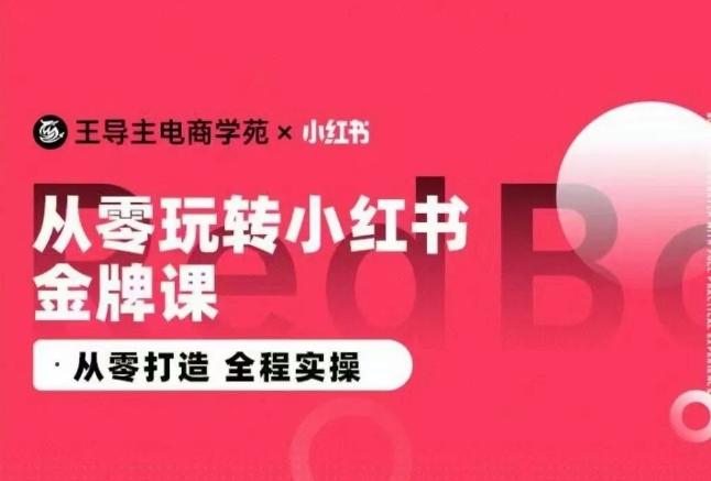 王导主·小红书电商运营实操课，​从零打造  全程实操-天娱网创
