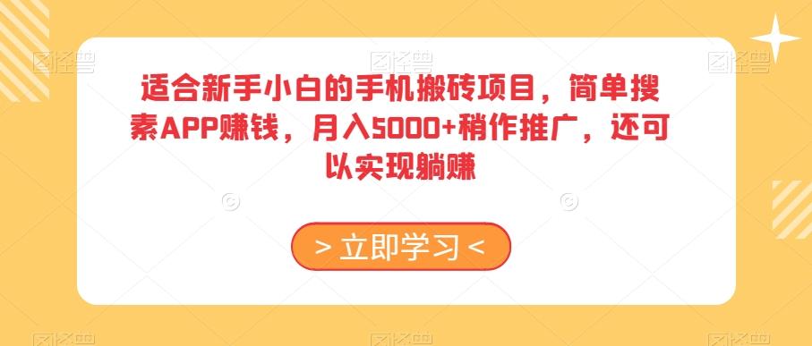 适合新手小白的手机搬砖项目，简单搜素APP赚钱，月入5000+稍作推广，还可以实现躺赚【揭秘】-天娱网创
