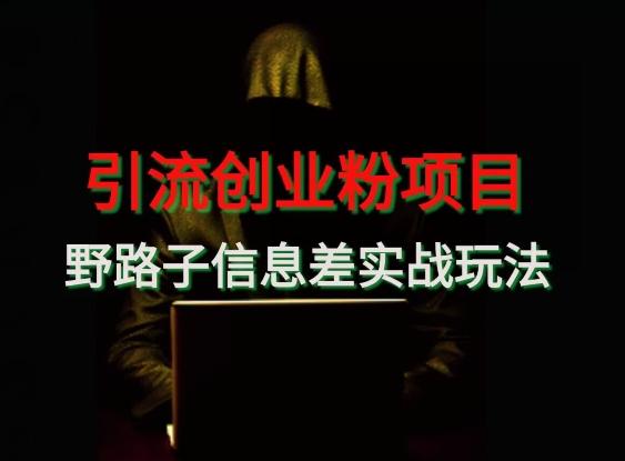 【引流创业粉】野路子信息差玩法实战教学-天娱网创