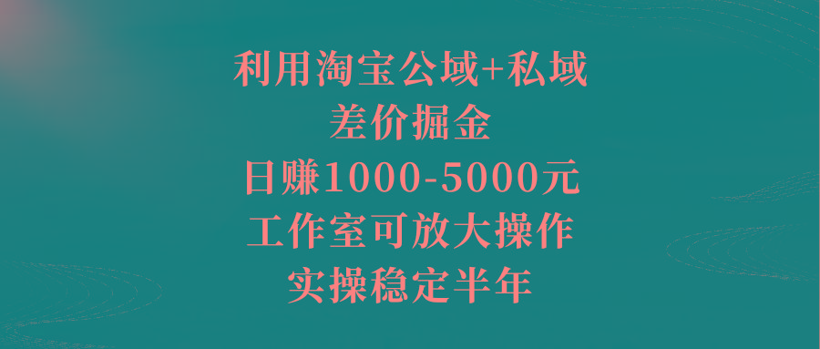 利用淘宝公域+私域差价掘金，日赚1000-5000元，工作室可放大操作，实操…-天娱网创