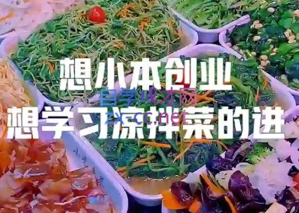 李记·精品凉拌菜系列热卤系列教程-天娱网创