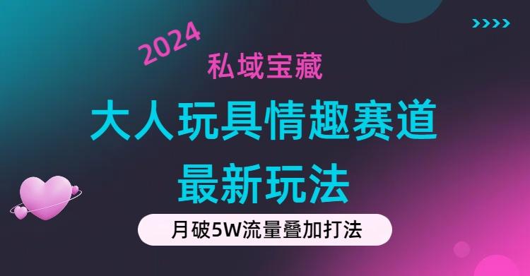 私域宝藏：大人玩具情趣赛道合规新玩法，零投入，私域超高流量成单率高-天娱网创