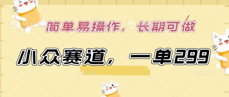 小众赛道，一单299.简单易操作，长期可做【揭秘】-天娱网创