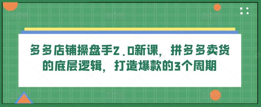 多多店铺操盘手2.0新课，拼多多卖货的底层逻辑，打造爆款的3个周期-天娱网创