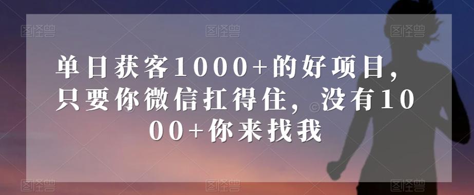 单日获客1000+的好项目，只要你微信扛得住，没有1000+你来找我【揭秘】-天娱网创