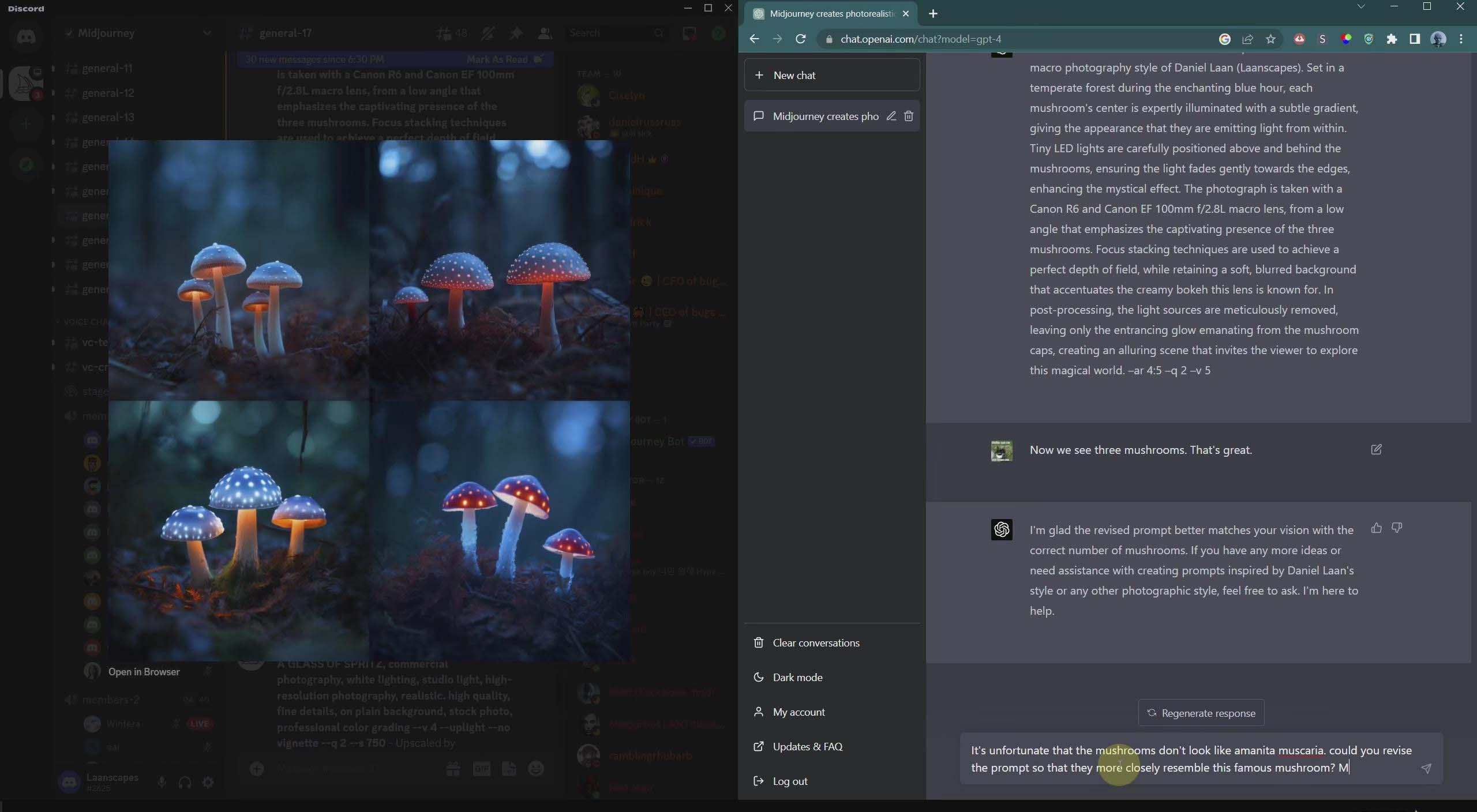 图片[4]-(8717期)摄影师 Daniel Laan 使用ChatGPT与Midjourney生成风光图像-中英字幕-天娱网创