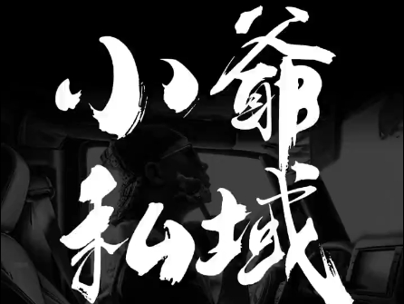 小爷·私域项目操盘手-天娱网创