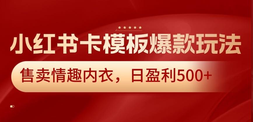 小红书卡模板爆款玩法，售卖情趣内衣，日盈利500+【揭秘】-天娱网创