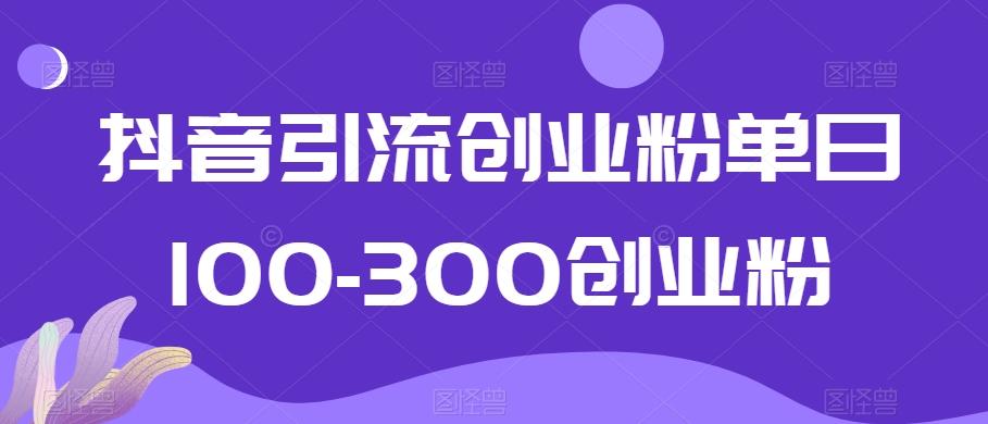 抖音引流创业粉单日100-300创业粉【揭秘】-天娱网创