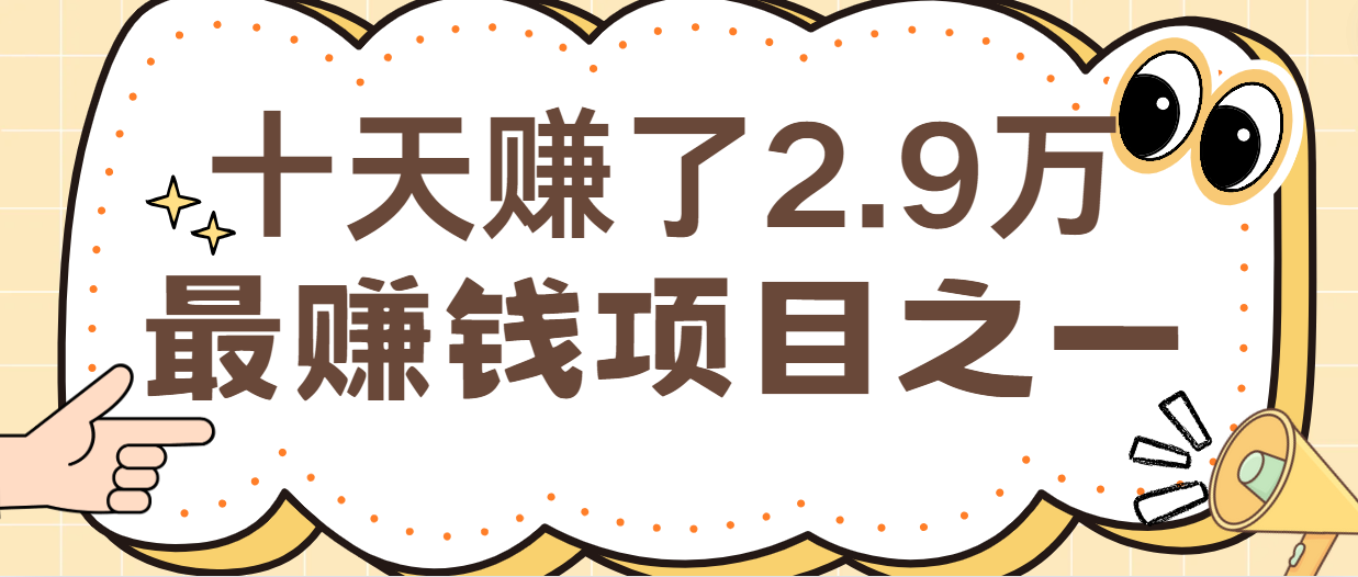闲鱼小红书最赚钱项目之一，纯手机操作简单，小白必学轻松月入6万+-天娱网创