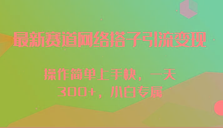 最新赛道网络搭子引流变现!!操作简单上手快，一天300+，小白专属-天娱网创