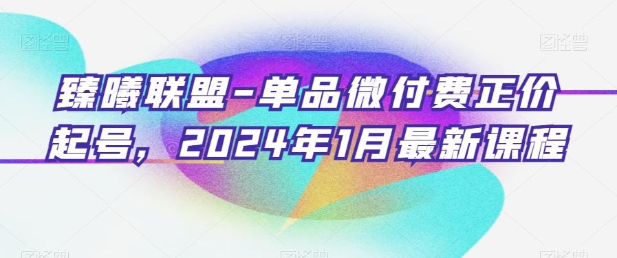 臻曦联盟-单品微付费正价起号，2024年1月最新课程-天娱网创
