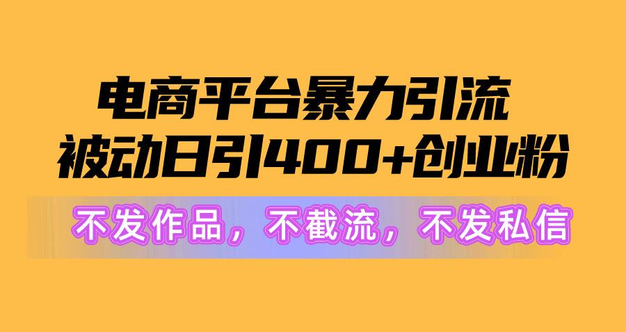 电商平台暴力引流,被动日引400+创业粉不发作品，不截流，不发私信-天娱网创