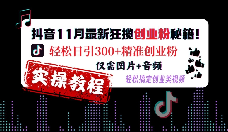 抖音11月最新狂揽创业粉秘籍，轻松日引300+精准创业粉，仅需图片+音频，轻松搞定创业类视频-天娱网创