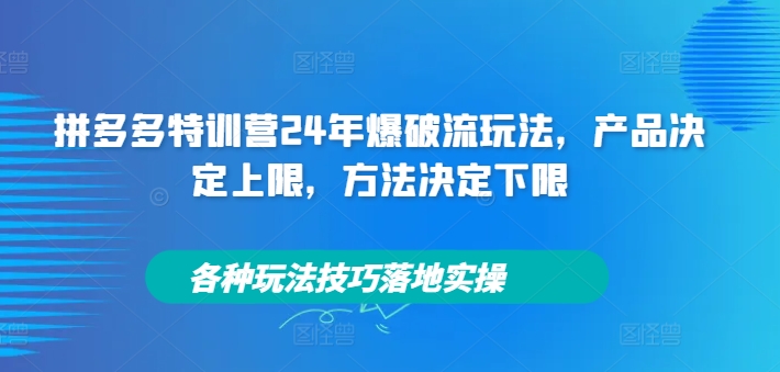 拼多多特训营24年爆破流玩法，产品决定上限，方法决定下限，各种玩法技巧落地实操-天娱网创
