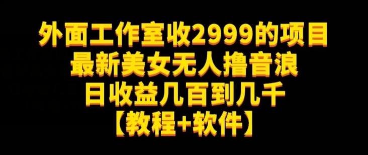 外面工作室收2999的项目最新美女无人撸音浪日收益几百到几千【教程+软件】（仅揭秘）-天娱网创
