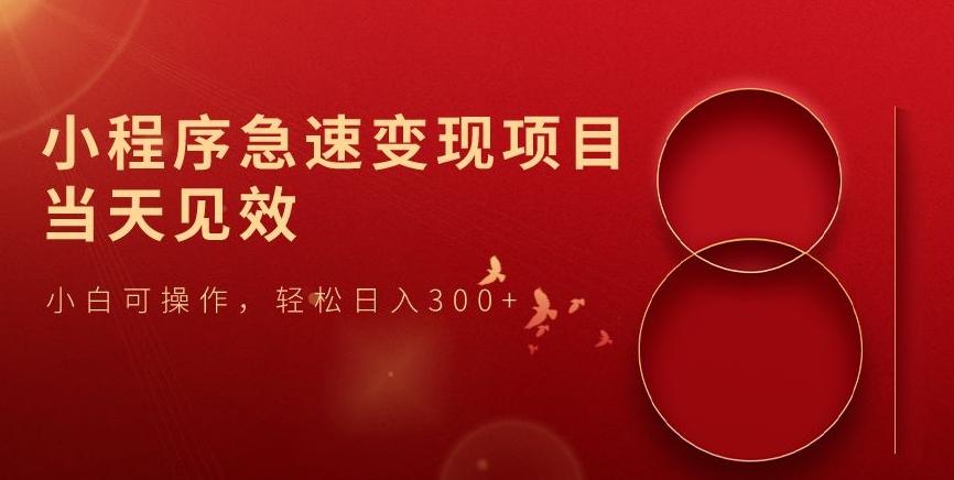 小程序急速变现项目，当天见效，小白可操作，轻松日入300+-天娱网创