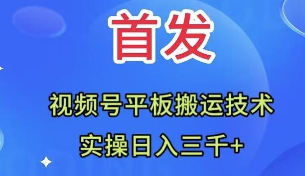 全网首发：视频号平板搬运技术，实操日入三千＋-天娱网创