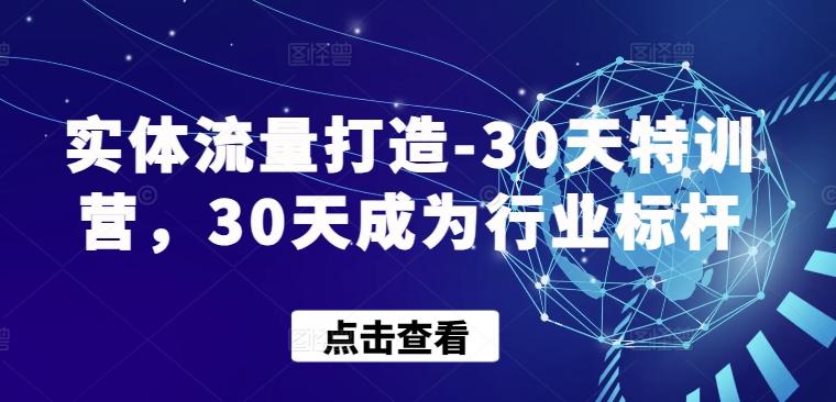 实体流量打造-30天特训营，30天成为行业标杆-天娱网创