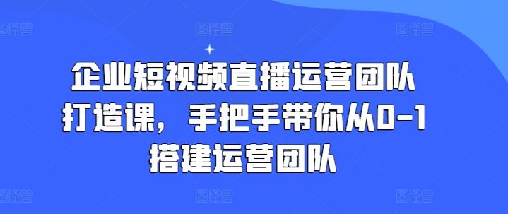 企业短视频直播运营团队打造课，手把手带你从0-1搭建运营团队-天娱网创