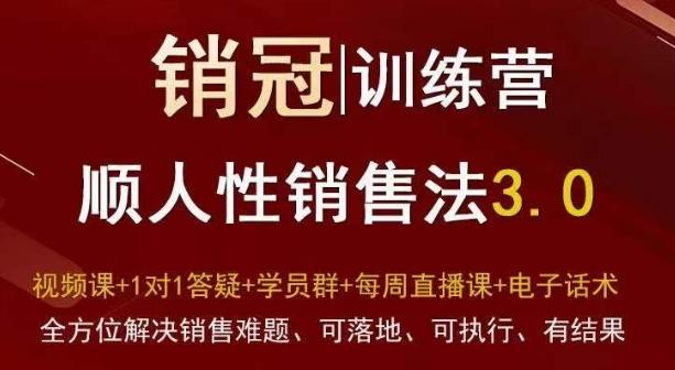 爆款！销冠训练营3.0之顺人性销售法，全方位解决销售难题、可落地、可执行、有结果-天娱网创