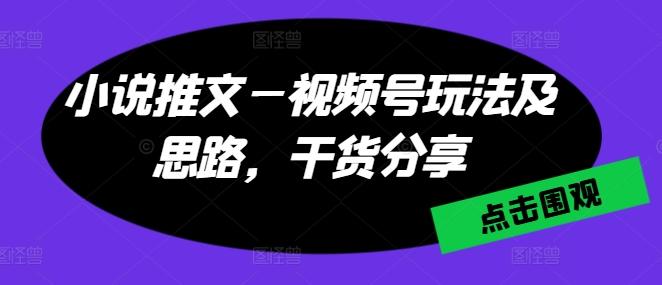 小说推文—视频号玩法及思路，干货分享-天娱网创