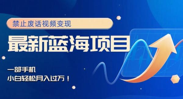 最新蓝海项目，靠禁止废话视频变现，一部手机，小白轻松月入过万！-天娱网创