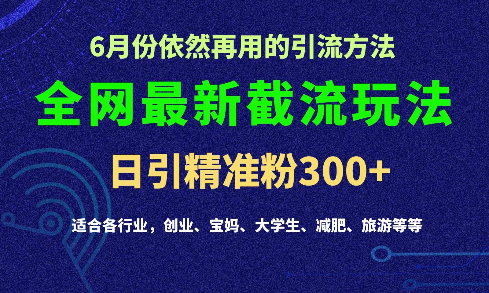 2024全网最新截留玩法，每日引流突破300+-天娱网创