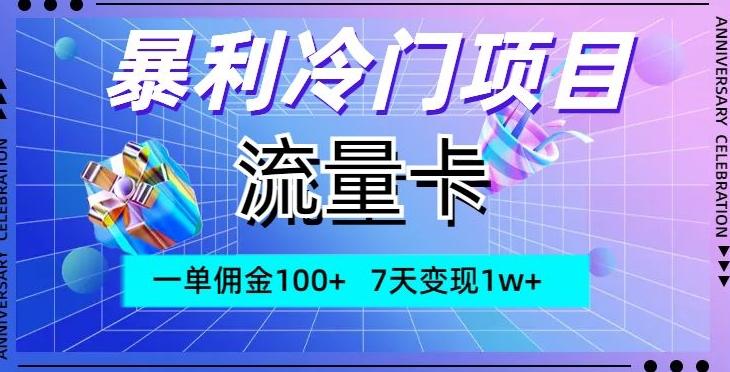 暴利冷门项目，流量卡，一单佣金100+，7天变现1w+-天娱网创