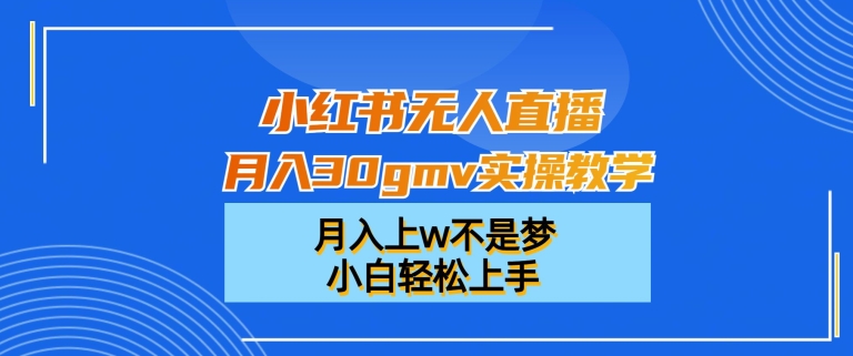 小红书无人直播月入30gmv实操教学，月入上w不是梦，小白轻松上手【揭秘】-天娱网创