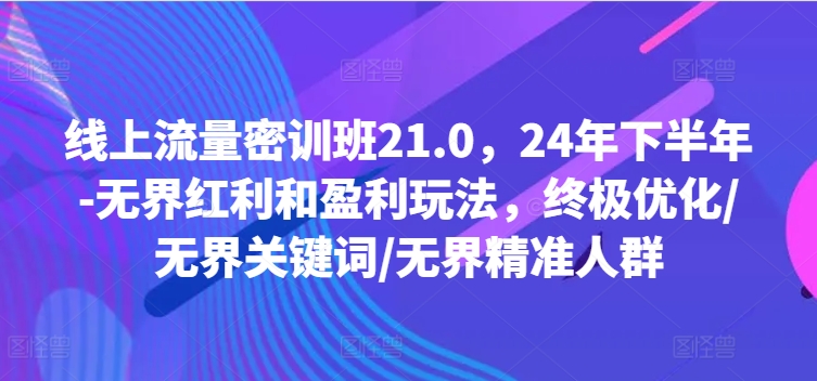线上流量密训班21.0，24年下半年-无界红利和盈利玩法，终极优化/无界关键词/无界精准人群-天娱网创