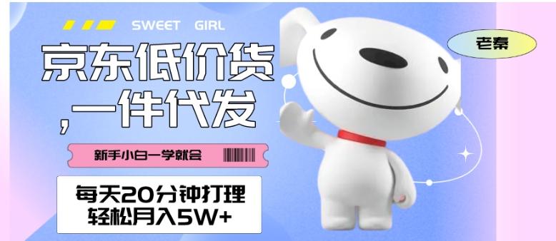 每天20分钟打理京东低价货，一件代发-轻松月入5W＋-天娱网创