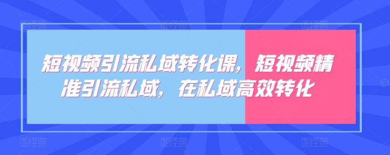 短视频引流私域转化课，短视频精准引流私域，在私域高效转化-天娱网创