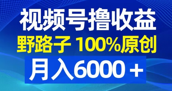视频号野路子撸收益，100%原创，条条爆款，月入6000＋【揭秘】-天娱网创