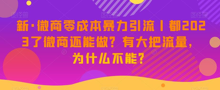 新·微商零成本暴力引流丨都2023了微商还能做？有大把流量，为什么不能？-天娱网创