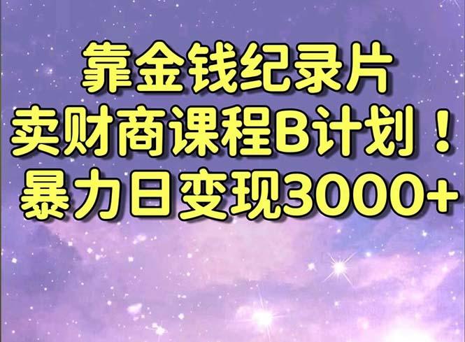 靠金钱纪录片卖财商课程B计划！暴力日变现3000+，喂饭式干货教程！-天娱网创