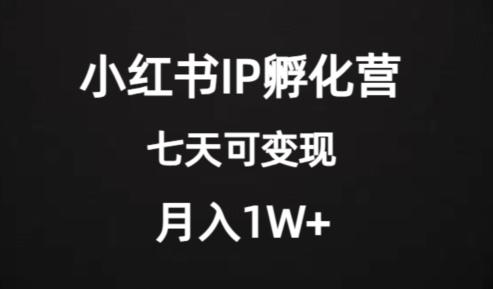 价值2000+的小红书IP孵化营项目，超级大蓝海，七天即可开始变现，稳定月入1W+-天娱网创