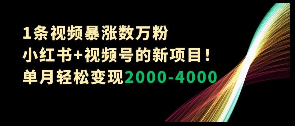 1条视频暴涨数万粉–小红书+视频号的新项目！单月轻松变现2000-4000【揭秘】-天娱网创
